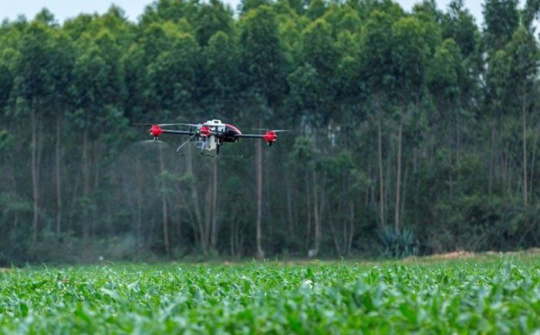 Chìa khóa mở cửa thị trường nông sản EU