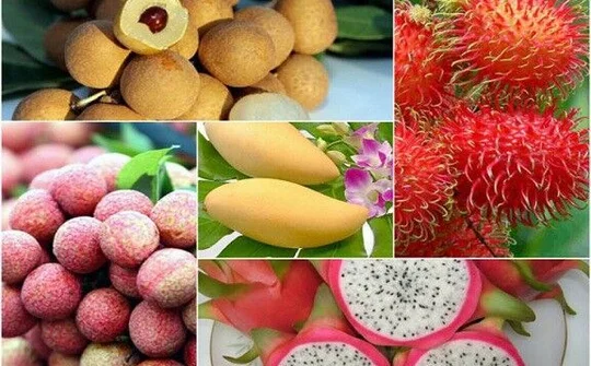 Chuyên gia kinh tế chỉ ra nhiều điểm nghẽn của nông sản Việt