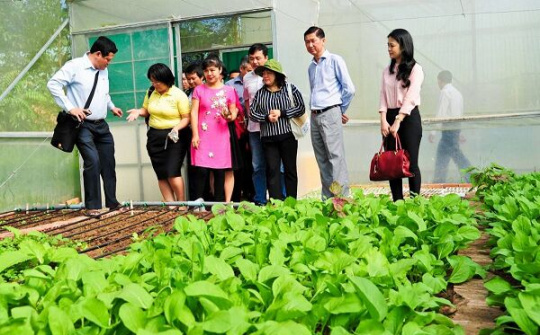 Bối cảnh mới và đòi hỏi khắt khe với kinh tế tập thể