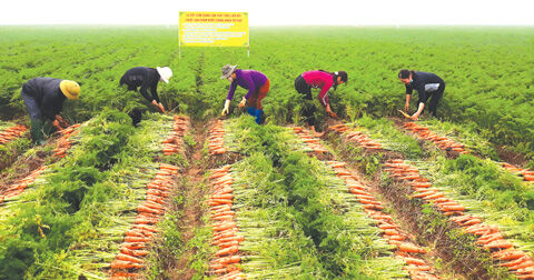 Ngành nông nghiệp duy trì tăng trưởng 2,02%