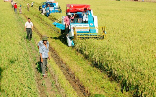 Bộ Tài chính Đề xuất miễn thuế sử dụng đất nông nghiệp đến năm 2030