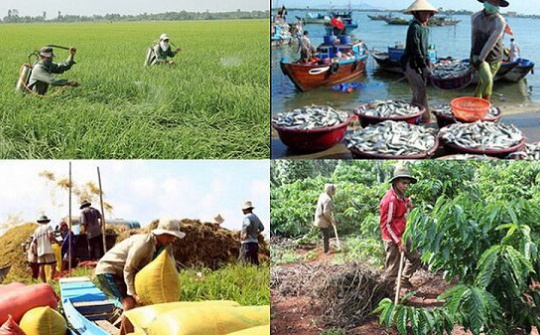 7 tỉnh được Nhà nước hỗ trợ phí bảo hiểm nông nghiệp cây lúa;  hộ nghèo, cận nghèo được đến 90%