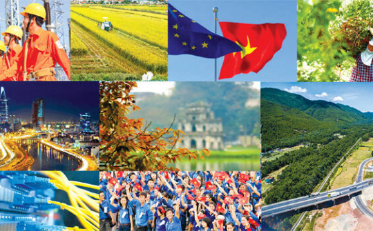 Phân loại khu vực thể chế Việt Nam thành 6 khu vực