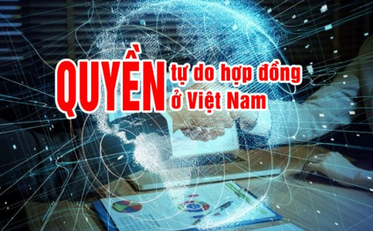 Pháp lý và thực tiễn về quyền tự do hợp đồng ở Việt Nam giai đoạn hiện nay