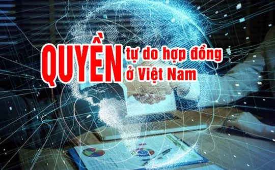 Pháp lý và thực tiễn về quyền tự do hợp đồng ở Việt Nam giai đoạn hiện nay