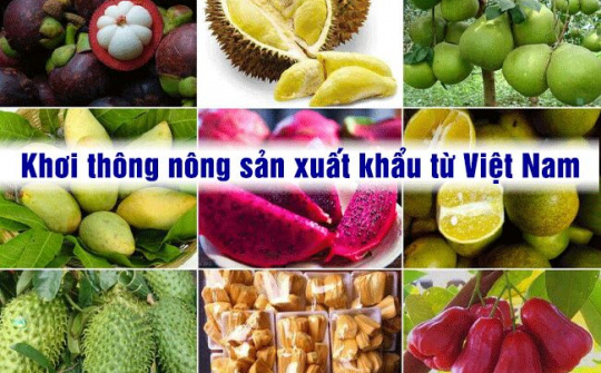 Phó Thủ tướng đề nghị Trung Quốc khơi thông nông sản xuất khẩu từ Việt Nam