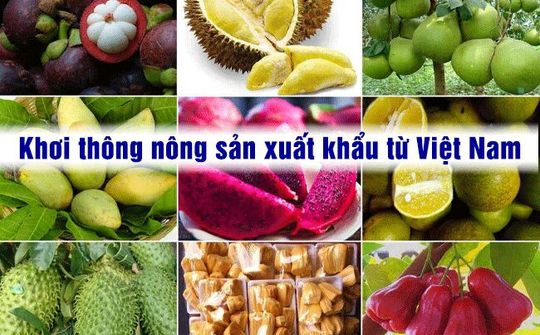 Phó Thủ tướng đề nghị Trung Quốc khơi thông nông sản xuất khẩu từ Việt Nam