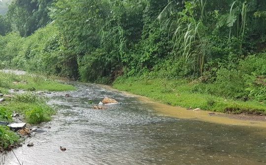 Kinh nghiệm xử lý nước nhiễm dầu thải của Mỹ