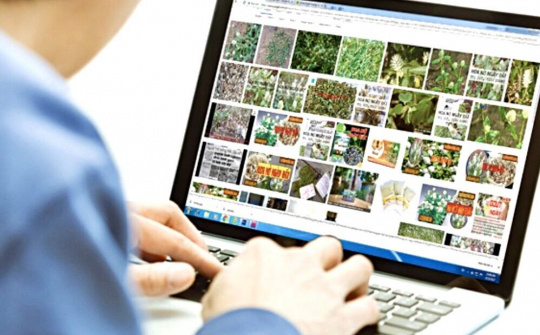 Tạp chí khoa học điện tử trong bối cảnh hội nhập