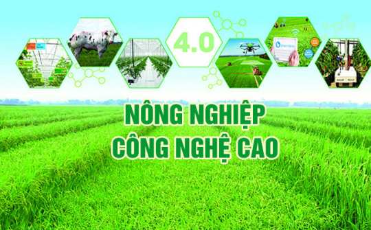 Cánh đồng nông nghiệp công nghệ cao trong lòng Thủ đô