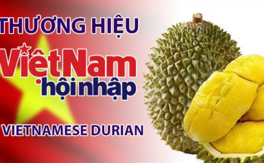 Sầu riêng Việt  tiếp cận thị trường Australia