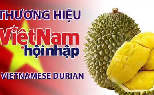 Sầu riêng Việt  tiếp cận thị trường Australia