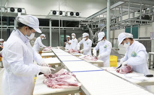 Tái cơ cấu để phát triển bền vững ngành chăn nuôi trong bối cảnh hội nhập