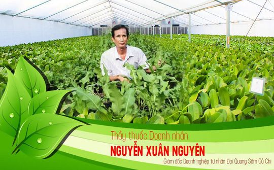 Thầy thuốc, Doanh nhân Nguyễn Xuân Nguyên: Điều trị cho nhiều bệnh nhân bằng cây "Sâm đại quang"