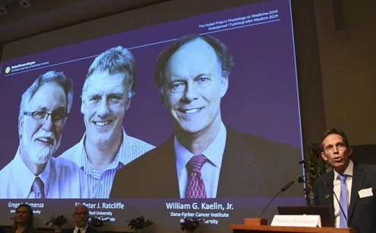 Nobel Y học 2019 mở đường tìm ra phương pháp mới điều trị ung thư