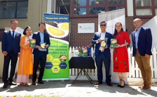 Sầu riêng Việt Nam ra mắt người tiêu dùng Australia