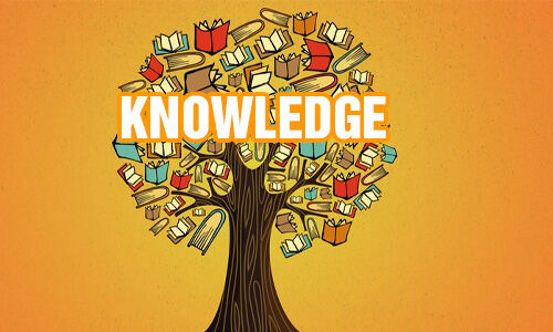 Giải pháp ngăn chặn chảy máu chất xám: Phải được triển khai ở tầm quốc gia