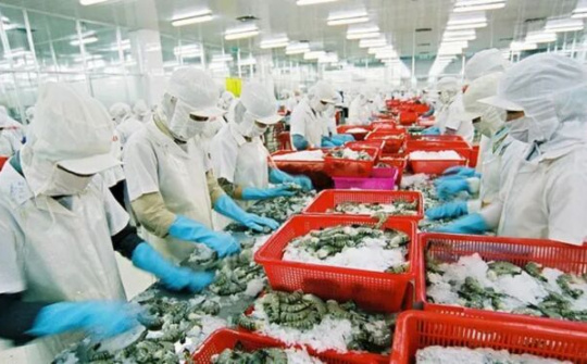 Xuất khẩu thủy sản tập trung gỡ rào cản thương mại những tháng cuối năm 2019