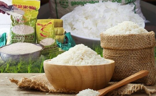 Gạo Việt giành Giải Nhất cuộc thi gạo ngon thế giới 2019