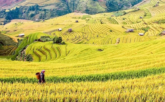 Quảng Ninh: “Đánh thức” tiềm năng du lịch Bình Liêu
