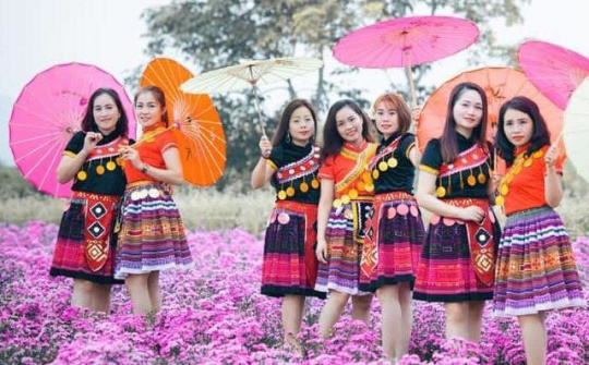 Đồi hoa xuân Thái Hòa -  Lạc giữa thiên đường hoa