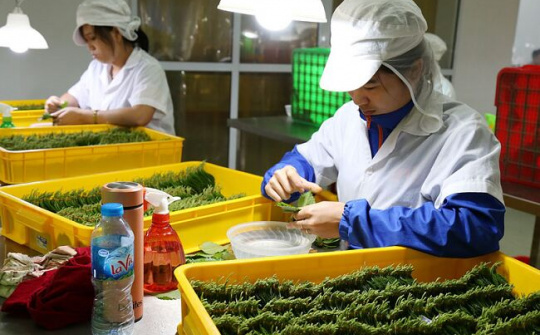 Huyện Lương Tài (Bắc Ninh) thu ngân sách vượt trên 200%