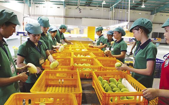 Xây dựng thương hiệu quốc gia cho nông sản Việt