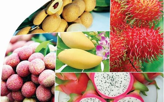 Định vị thương hiệu cho nông sản Việt