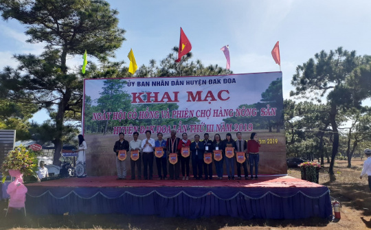 Gia Lai:  Khai mạc Ngày Hội cỏ hồng và Phiên chợ nông sản huyện Đăk Đoa lần III  năm 2019