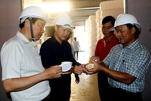 Lãnh đạo tỉnh Đồng Tháp đến thăm công ty thành viên của Tập đoàn Sao Mai