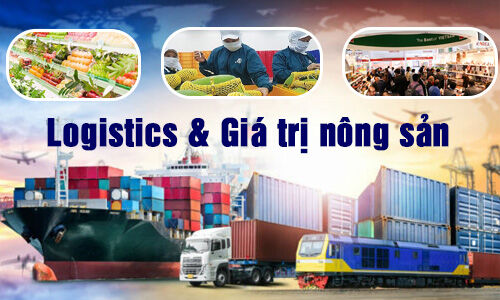 Nông nghiệp Việt Nam 'đi chợ thế giới' nhưng hàng nặng, đường ngắn