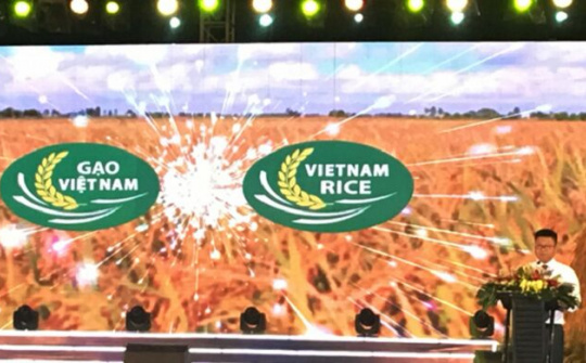 Tìm lời giải thương hiệu cho nông sản