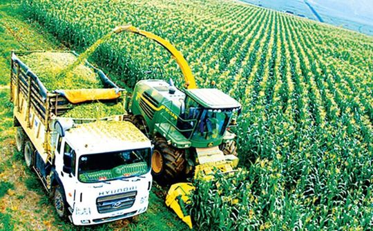 Quốc hội Việt Nam thúc đẩy việc thực hiện các mục tiêu phát triển bền vững