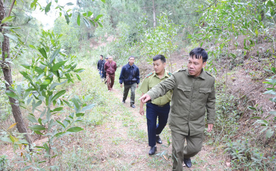 Bắc Ninh đặt mục tiêu tăng trưởng kinh tế đi đôi với bảo vệ môi trường