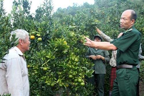 Lào Cai: giúp đỡ dân nghèo vượt khó