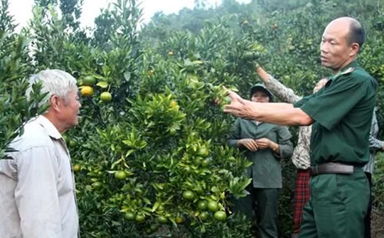 Lào Cai: giúp đỡ dân nghèo vượt khó