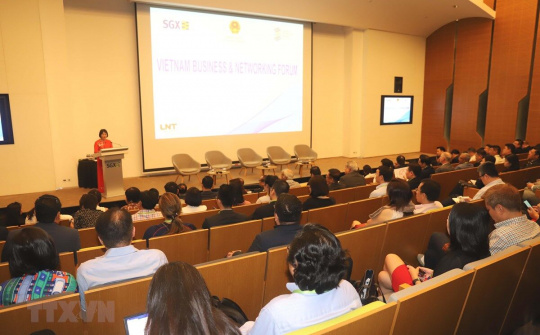 Việt Nam - Singapore: Thúc đẩy kết nối các doanh nghiệp