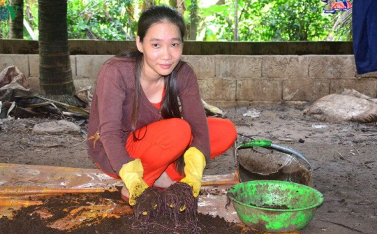 Đồng bằng sông Cửu Long: khởi nghiệp từ nuôi trùn quế