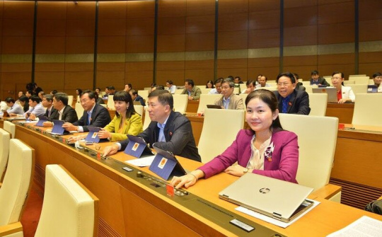 Người nước ngoài được nhập cảnh vào Việt Nam bằng thị thực điện tử