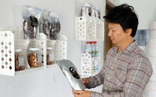 Ứng dụng công nghệ nano trong sản xuất tỏi đen một nhánh ở Gia Bình Bắc Ninh