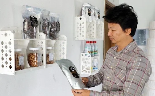 Ứng dụng công nghệ nano trong sản xuất tỏi đen một nhánh ở Gia Bình Bắc Ninh