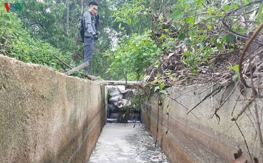 Thừa Thiên - Huế: Đình chỉ hoạt động 3 tháng nhà máy gây ô nhiễm