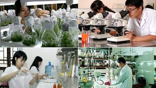 Khoa học và Công nghệ Việt Nam - 60 năm xây dựng và phát triển