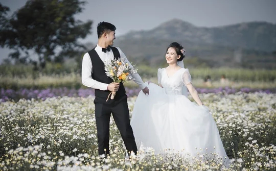 Đồi hoa xuân Thái Hòa: Thiên đường ảnh cưới