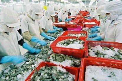 Xuất khẩu tôm sang Mỹ dự kiến tăng khoảng 5%