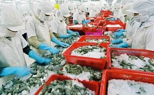 Xuất khẩu tôm sang Mỹ dự kiến tăng khoảng 5%