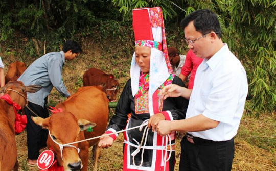 Tiếp tục hoàn thiện chính sách giảm nghèo bền vững vùng dân tộc thiểu số và miền núi