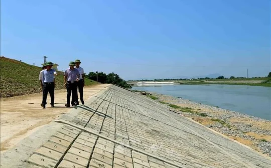 Vi phạm pháp luật đê điều chưa được xử lý triệt để