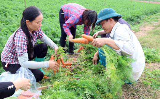 Phụ nữ Bắc Ninh phát triển kinh tế trong giai đoạn mới