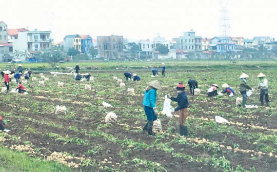 Điểm sáng trong xây dựng Làng văn hóa ở Tiên Du Bắc Ninh